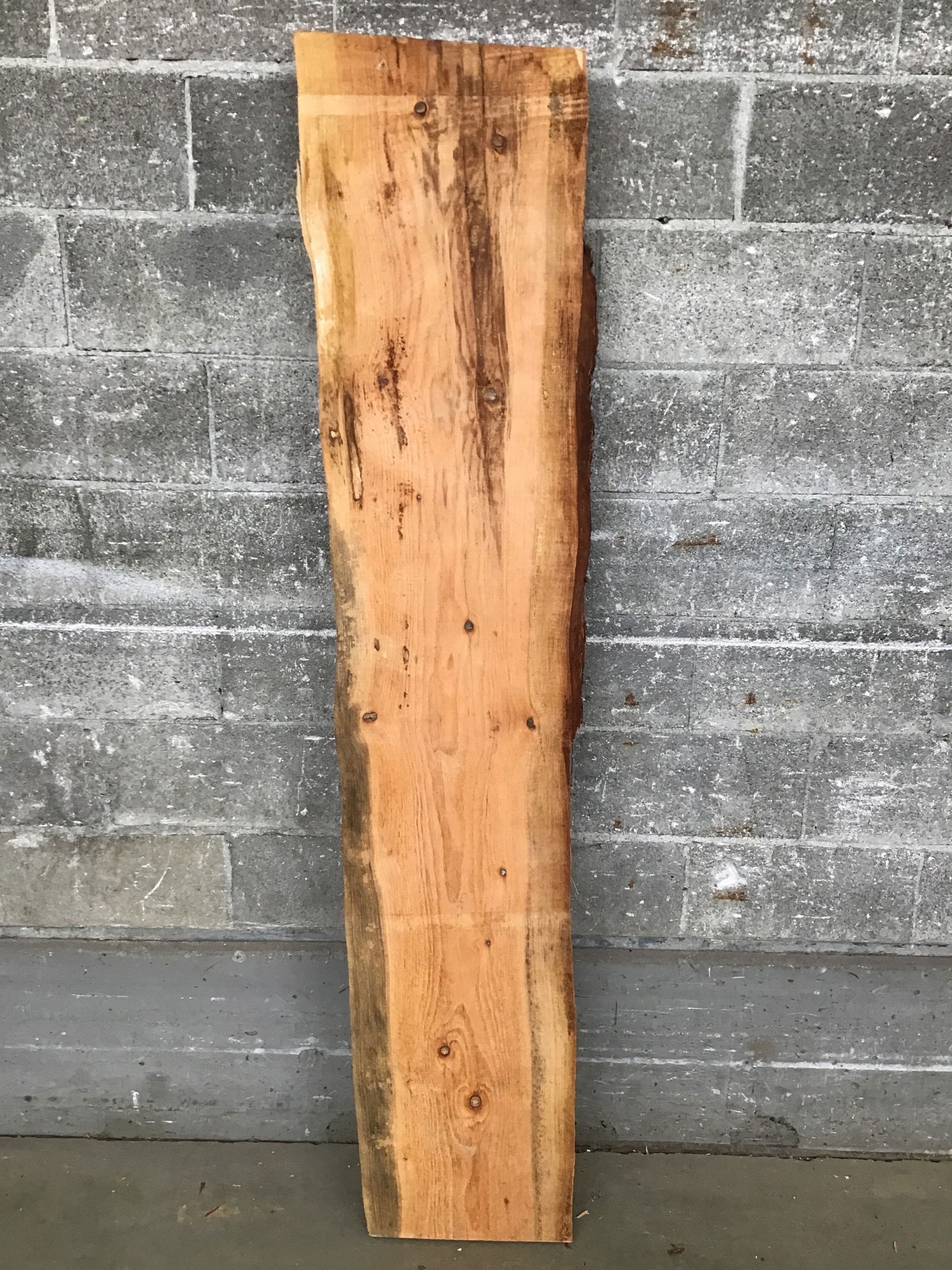Live Edge Fir Slab Second Use Building Materials and Salvage Retail