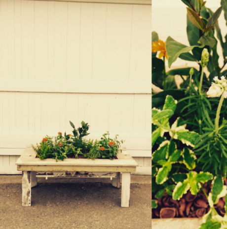 Rynanothermanstreasure